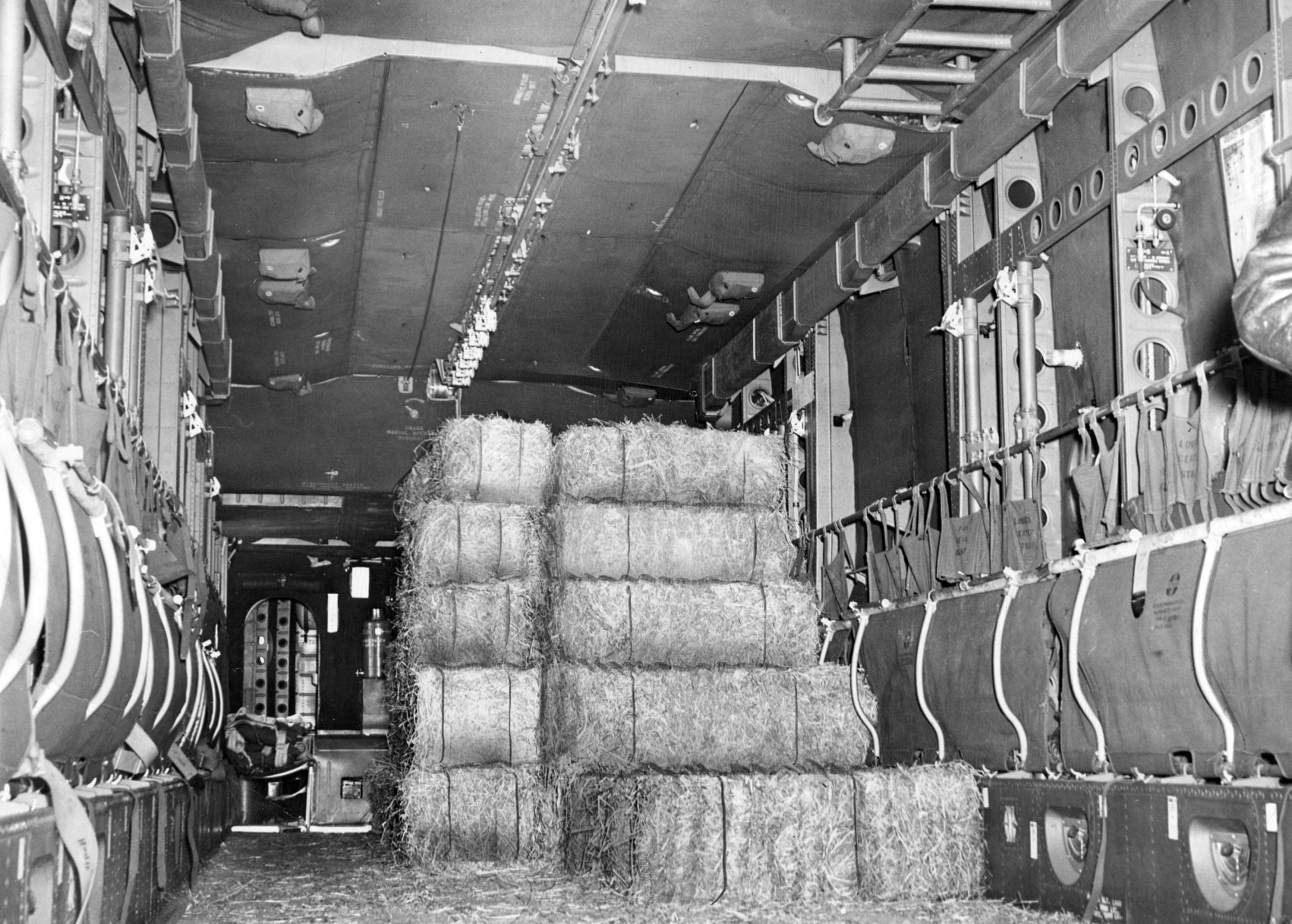 One of the planes loaded with feed for thousands of cattle. Published Jan. 31, 1949.